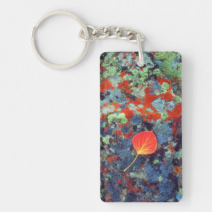 Porte-clefs Feuille de tremble sur une roche couverte de liche
