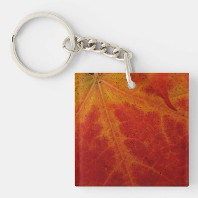Porte-clefs Feuille d'érable rouge Abstraite Automne Photograp (Devant)