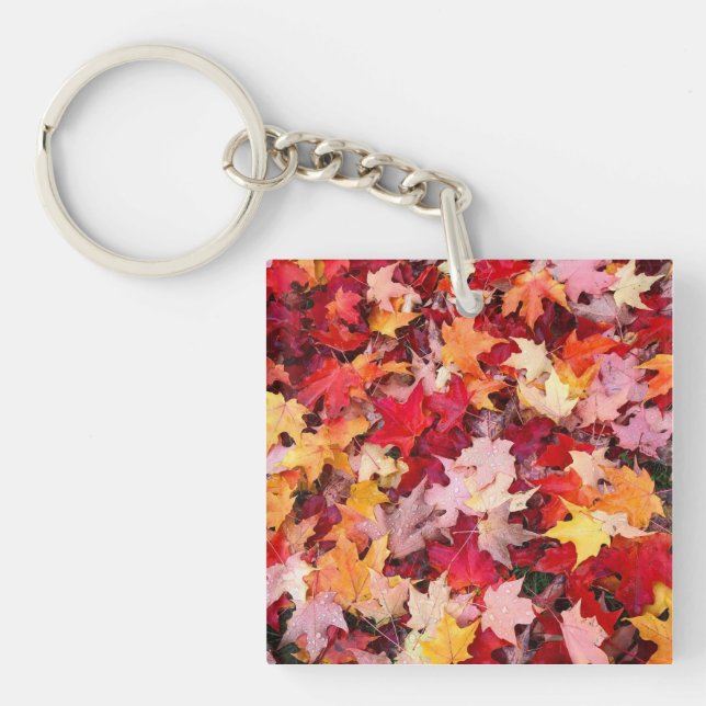 Porte-clefs Feuilles d'automne colorées (Devant)