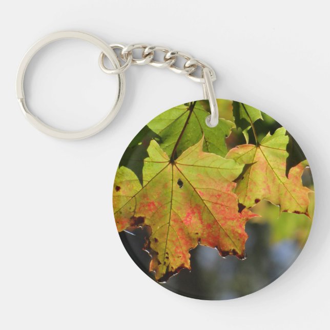 Porte-clefs Feuilles de chute colorées (Devant)