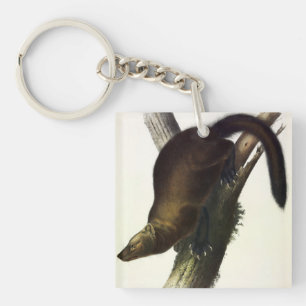Porte-clefs Fisher (Martre de Pennant ou Fisher de Chat) par A