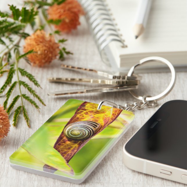 Porte-clefs fixation calme (Devant droit)