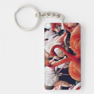 Porte-clefs Flamant rose rose dans la nature