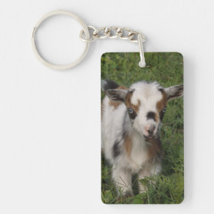 Porte-clefs Flashy Nigerian Dwarf Dairy Goat Kid