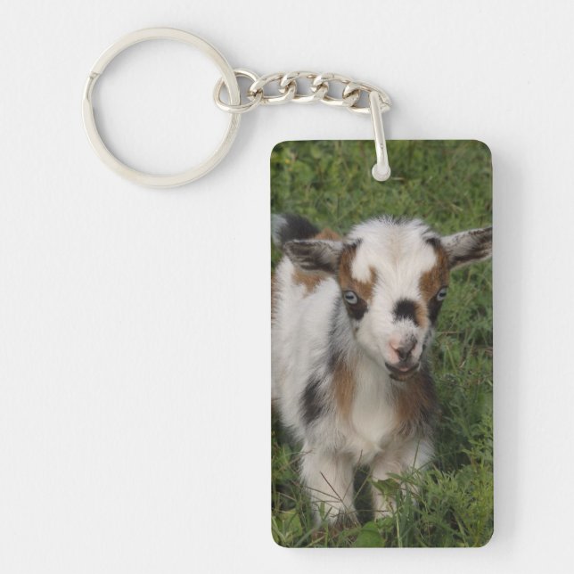 Porte-clefs Flashy Nigerian Dwarf Dairy Goat Kid (Devant)
