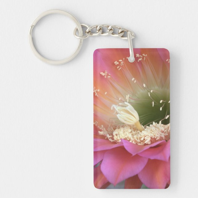 Porte-clefs Fleur de cactus rose dans le désert (Devant)