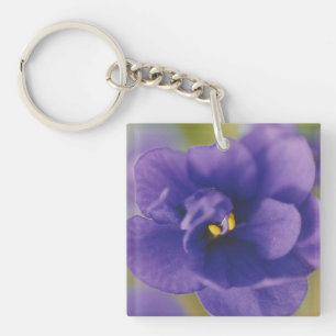 Porte-clefs Fleur de fleurs bleues de Violet Saintpaulia Zoomé