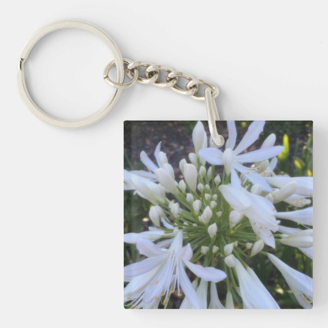 Porte-clefs Fleurs blanches d'Agapanthus (Devant)