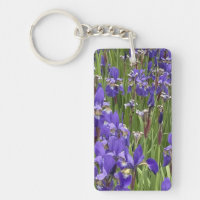 Fleurs d'Iris Violet Nature Plantes Photographie
