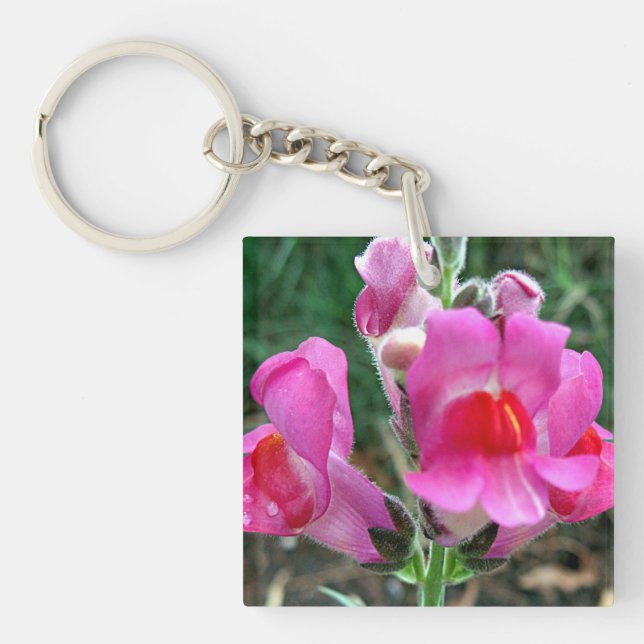 Porte-clefs Fleurs roses de muflier (Devant)