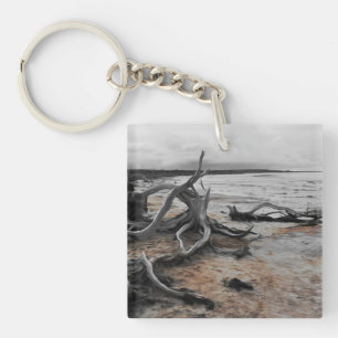 Porte-clefs Forces naturelles du lac Tyrrell