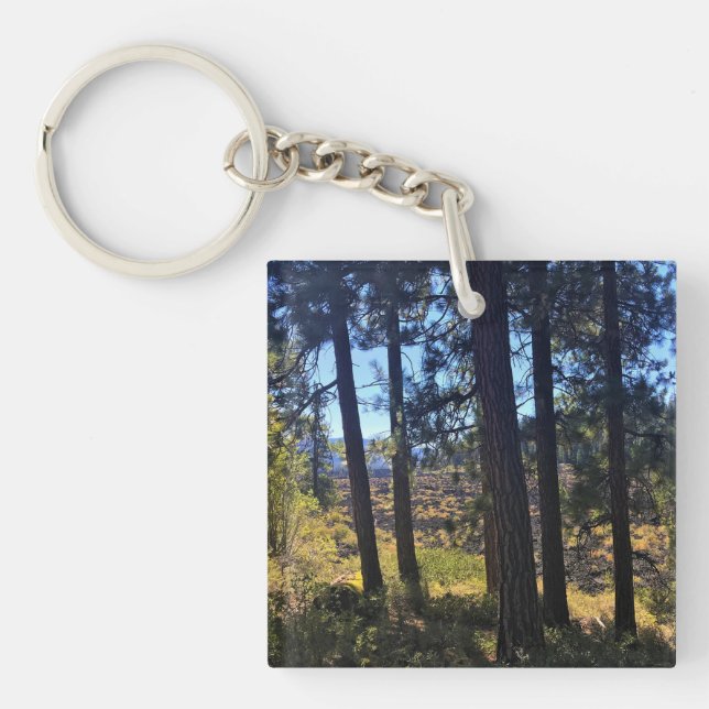 Porte-clefs Forêt de lave, Oregon (Devant)