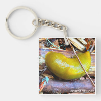 Porte-clefs Forêt de l'espoir