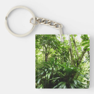 Porte-clefs Forêt de pluie dominicaine I Nature verte tropical