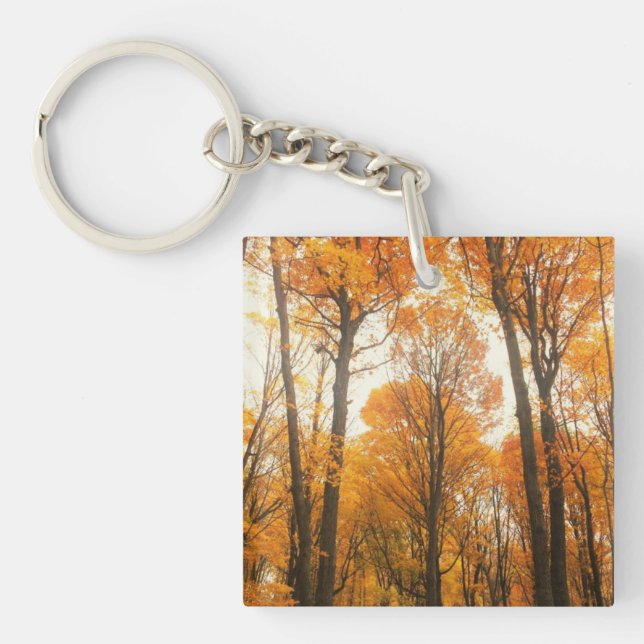 Porte-clefs Forêt d'Orange (Devant)
