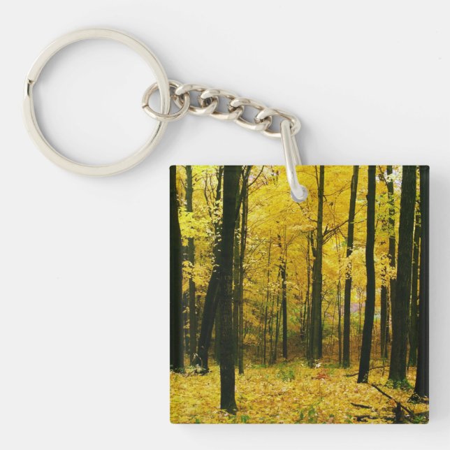 Porte-clefs Forêt jaune d'automne (Devant)