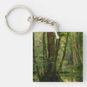 Porte-clefs Forêt mystique de Namal Uyana - Bois de fer ancien