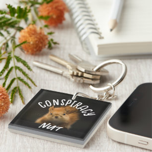 Porte-clefs Fou Complotiste