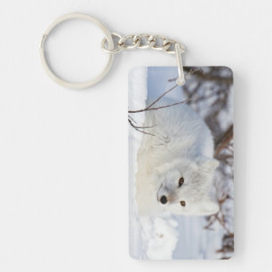 Porte-clefs Fox arctique en hiver