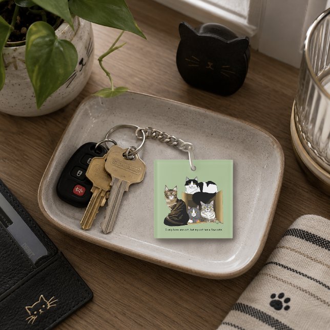 Porte-clefs Foyers à chats multiples Vert Drôle (Créateur téléchargé)