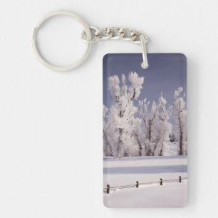 Porte-clefs Frost a couvert les arbres et la barrière, le
