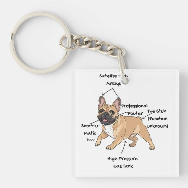 Porte-clefs Funny Anatomy of a French Bulldog Illustration (Devant)