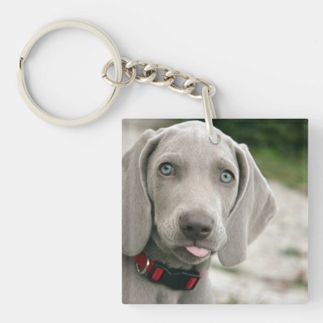 Porte-clefs Funny Dog Sticking Tongue Out Photo (Devant)