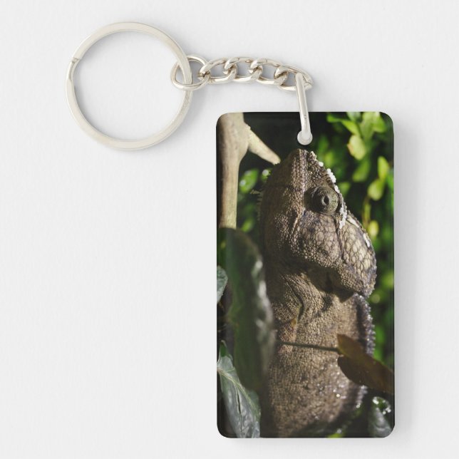 Porte-clefs Furcifer oustaleti (Devant)