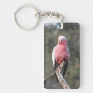 Porte-clefs Galah