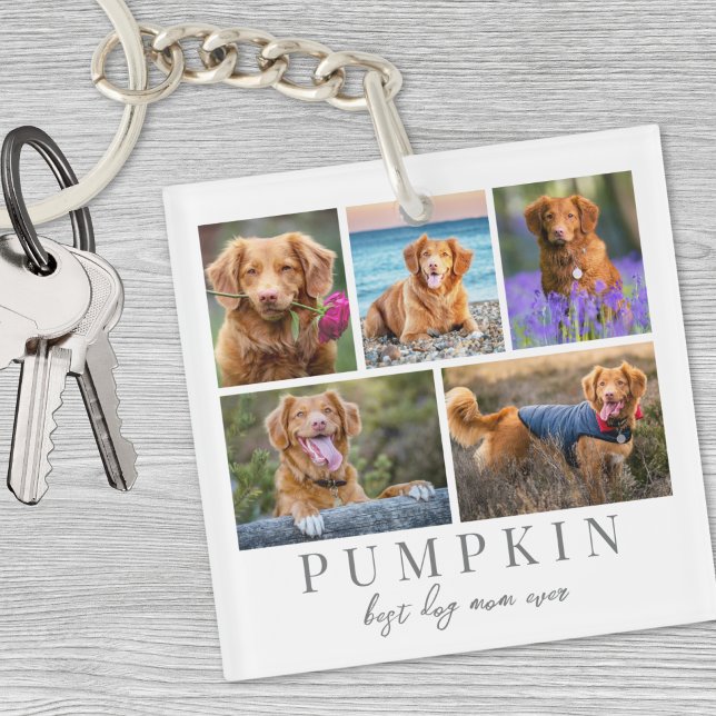 Porte-clefs Garde photo pour chien de compagnie personnalisé (Personalized Pet Dog Photo Keepsake Keychain)