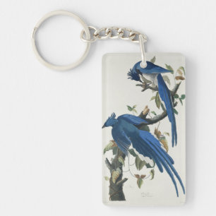 Porte-clefs Geai de Columbia d'Audubon Geai à gorge noire