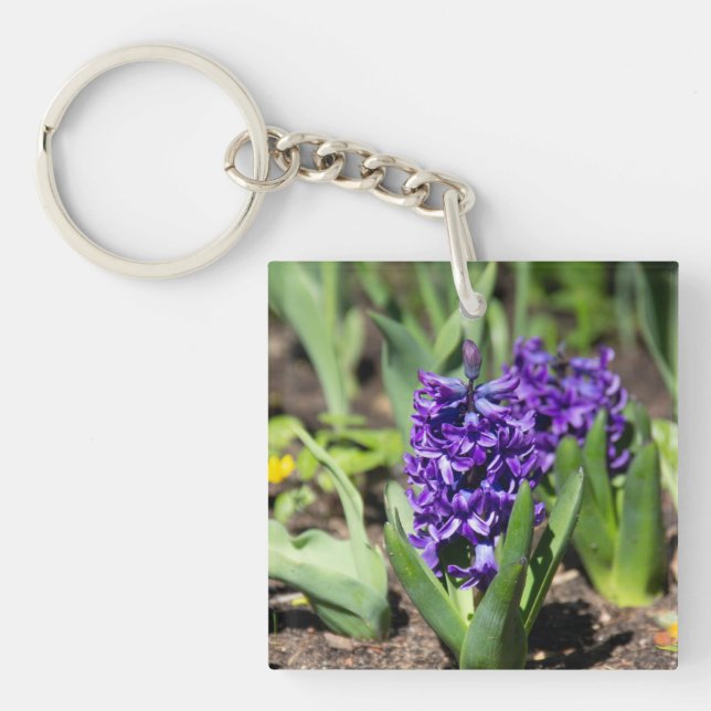 Porte-clefs Géocinthe bleu au printemps (Devant)