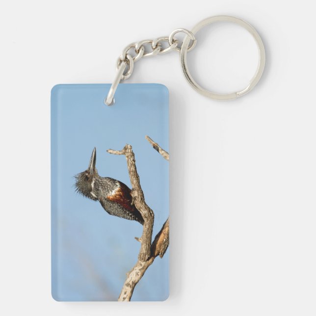 Porte-clefs Giant Kingfisher (Dos)