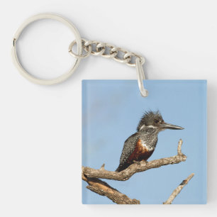 Porte-clefs Giant Kingfisher