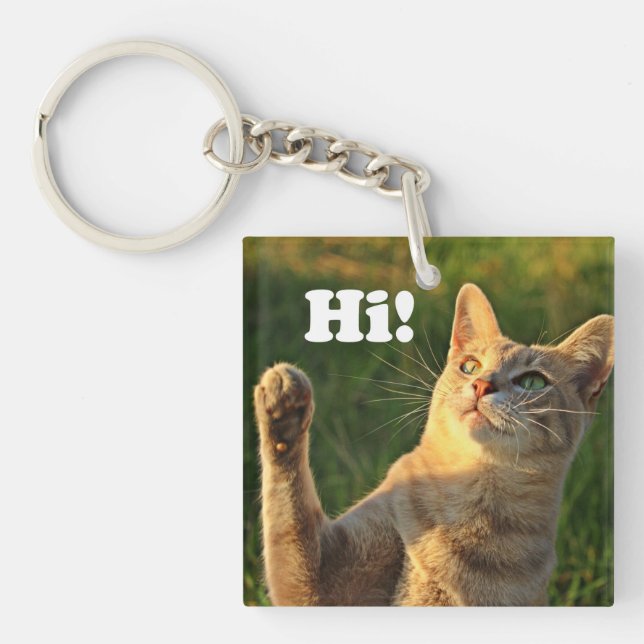 Porte-clefs Ginger Cat Dit Bonjour ! (Devant)
