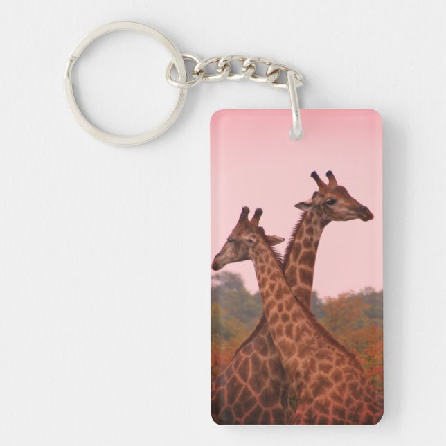 Porte-clefs Girafe debout dans les mopani avec ciel rose (Devant)