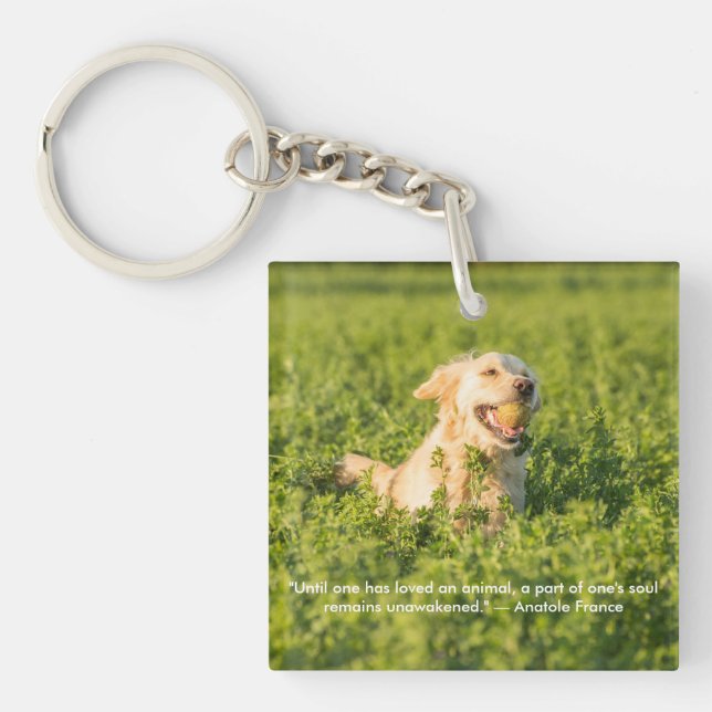 Porte-clefs Golden Retriever avec devis (Devant)