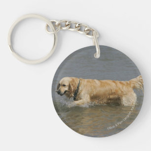 Porte-clefs Golden retriever dans l'eau