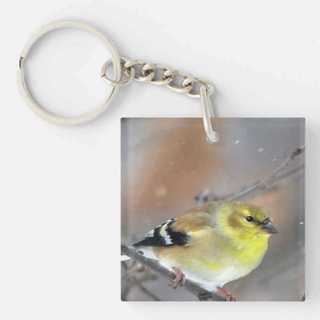 Porte-clefs Goldfinch (Devant)
