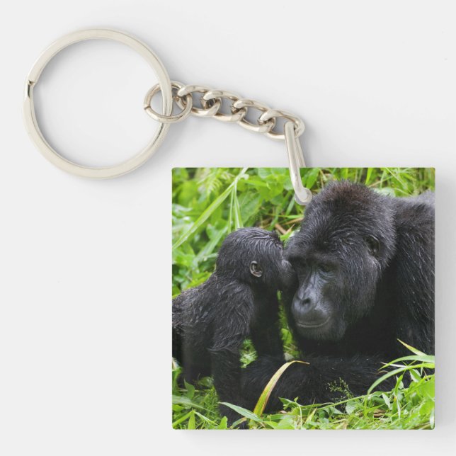 Porte-clefs Gorille des montagnes bébé embrasse un gorille dos (Devant)