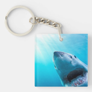 Porte-clefs Grand requin blanc Afrique du Sud