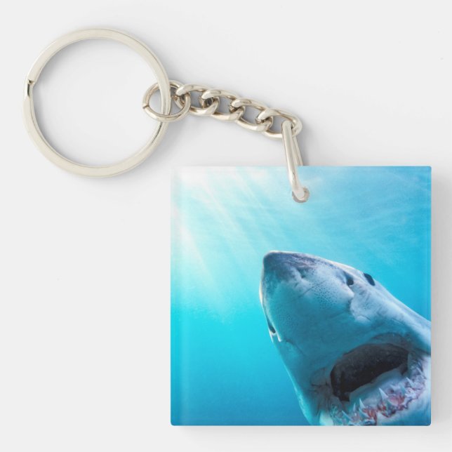 Porte-clefs Grand requin blanc | Afrique du Sud (Devant)