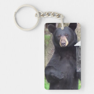Porte-clefs Grande Ours Doux  