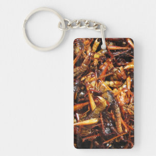 Porte-clefs Grasshopper frit (Takkataen Thot) Alimentation asi