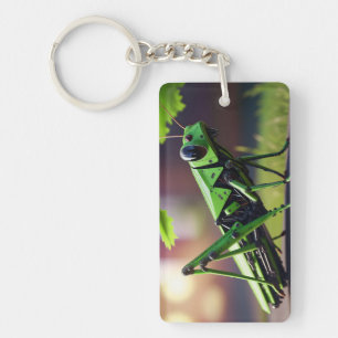 Porte-clefs Grasshopper mécanique