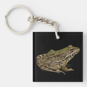 Porte-clefs Grenouille