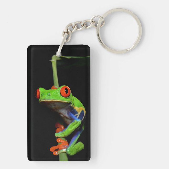 Porte-clefs Grenouille à feuilles rouges (Dos)