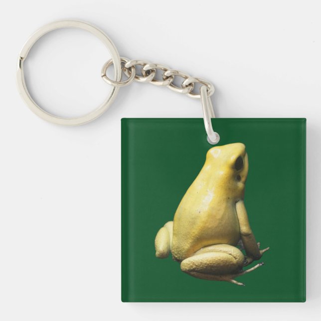 Porte-clefs Grenouille à poison dorée (Devant)