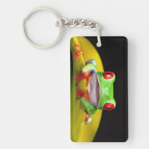Porte-clefs Grenouille aux yeux rouges, Agalychinis callidryas