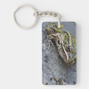 Porte-clefs Grenouille léopard du nord, Île transparente,